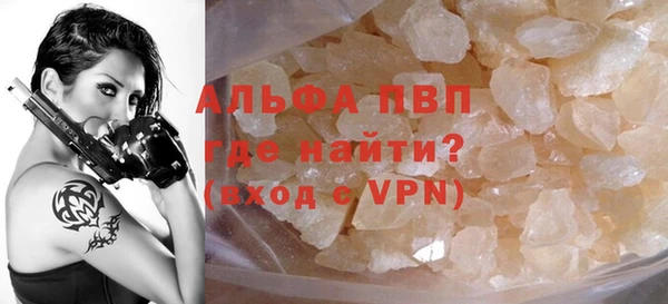 PSILOCYBIN Бородино