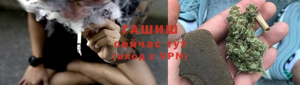 PSILOCYBIN Бородино