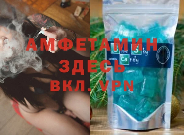 PSILOCYBIN Бородино