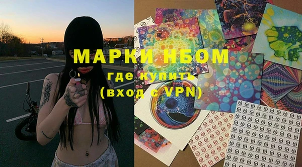 PSILOCYBIN Бородино