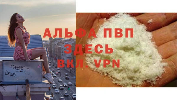 PSILOCYBIN Бородино